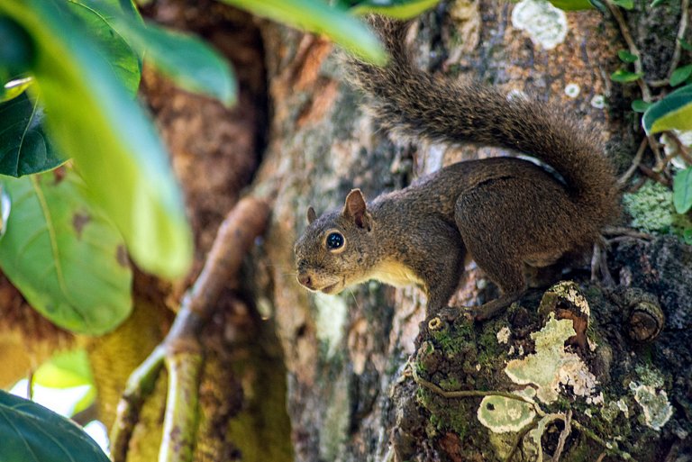 Casa a 20m da praia da Baleia com ar wifi 4 dorms