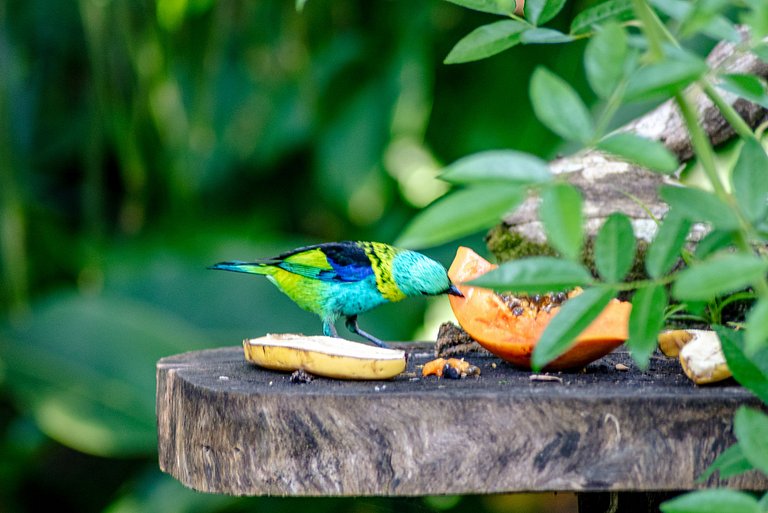 Casa deliciosa 1min da praia Baleia ar condicionad