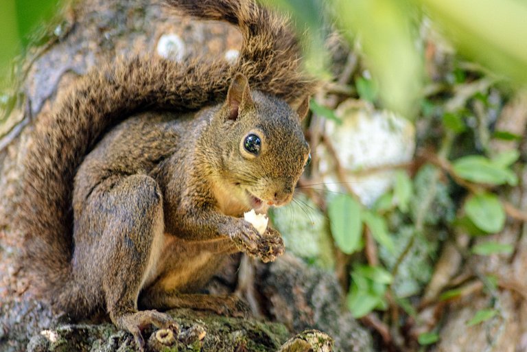 Casa a 20m da praia da Baleia com ar wifi 4 dorms