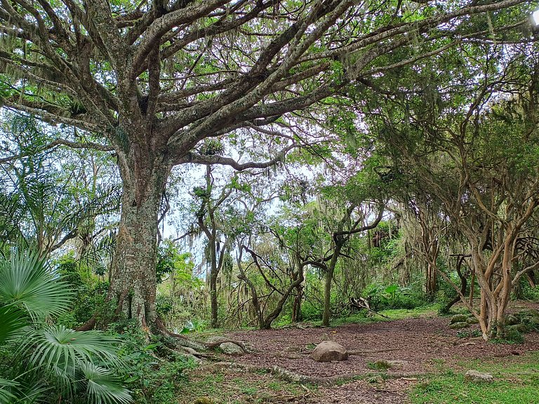 Casa Acacia 3 quartos 3 banheiros sendo 2 suítes
